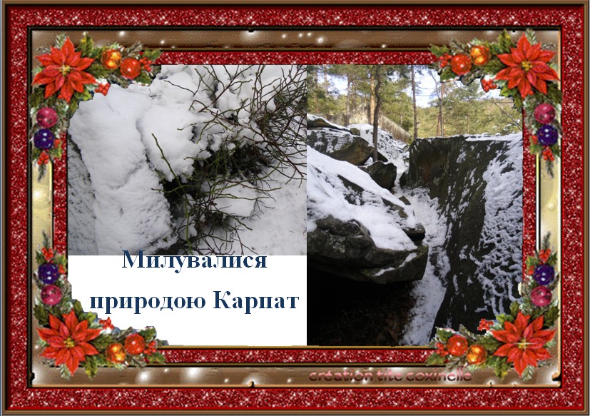 ������ � � � � � � � �   ( � � � � � � � � - � � � � � � )
